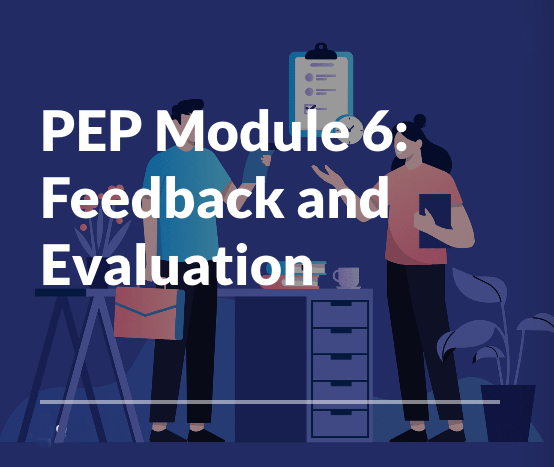 Module 6: Feddback and Evaluation